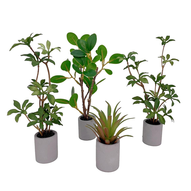 Bonsai Garden Plants - 1:6 Evcilik Minyatür Saksı Bitki Yeşil