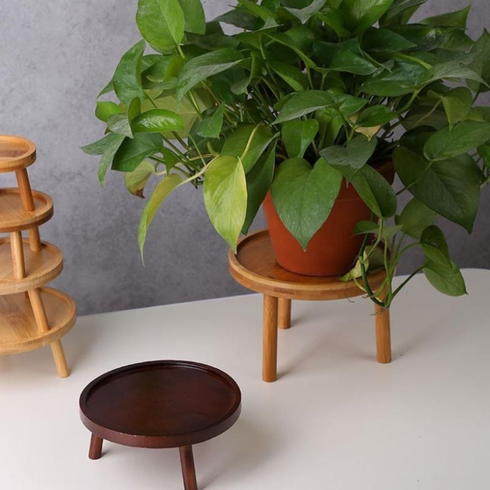 Bonsai Garden Stand - Katı Yaratıcı Etli Çiçek Vazo Tutucu