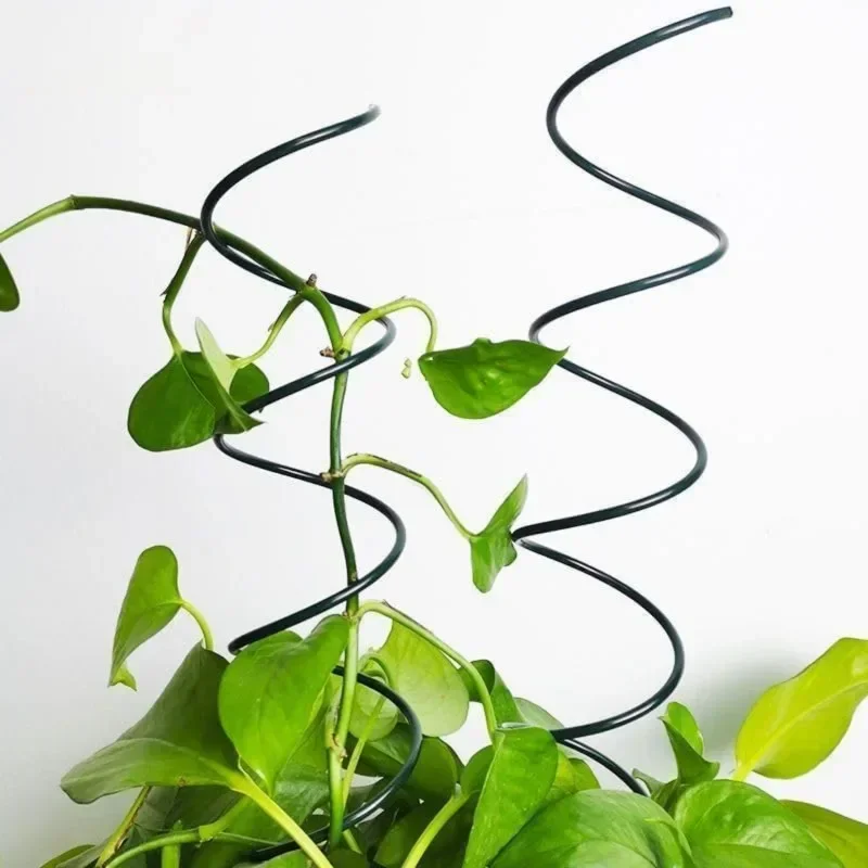 Tırmanıcı Bitki Destek Çubuğu, - Bonsai Garden Plants incelemesi ve fiyatı