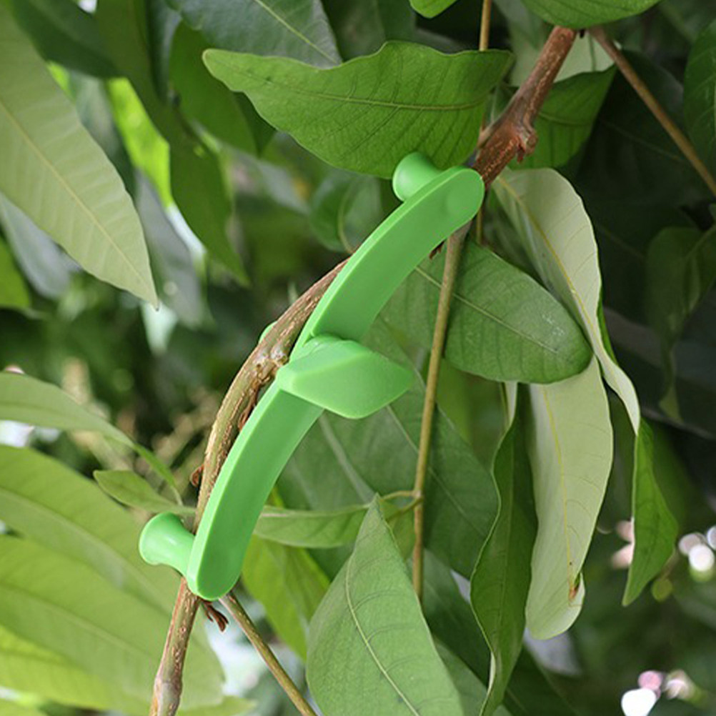 5 Adet Bonsai Dal Sabitleyici  - Bonsai Garden Plants incelemesi ve fiyatı