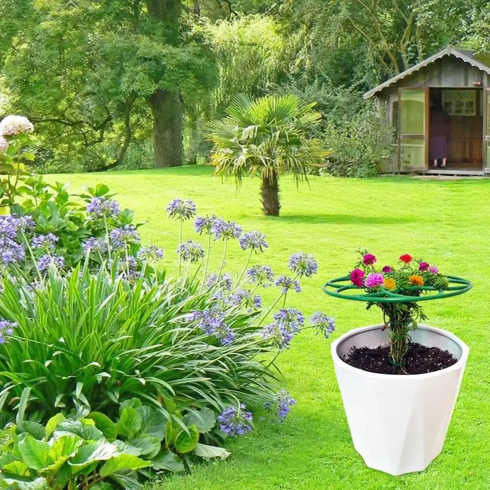 Yeni S/M/L Bonsai Tırmanma Çer - Bonsai Garden Stand incelemesi ve fiyatı