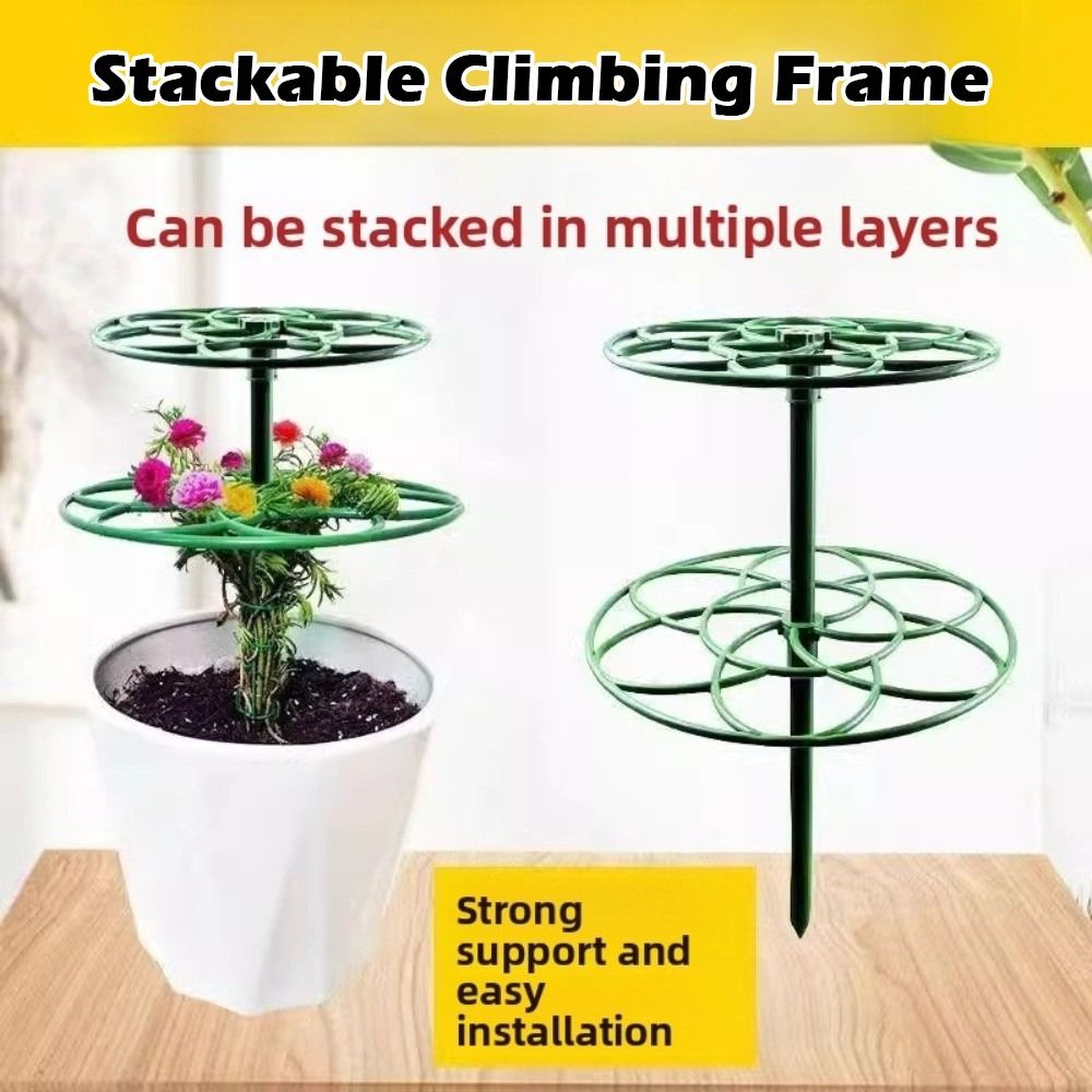 S/M/L Bonsai Tırmanma Çerçeves - Bonsai Garden Stand incelemesi ve fiyatı