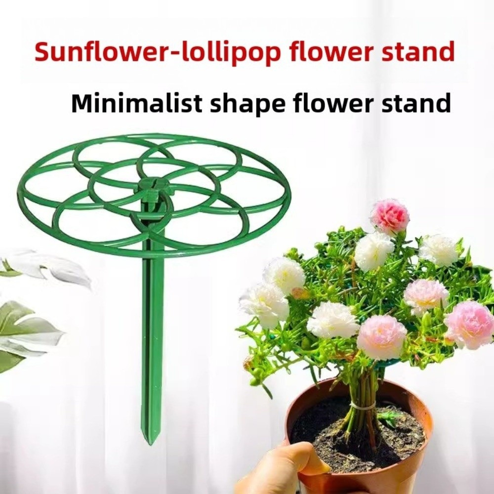S/M/L Bonsai Tırmanma Çerçeves - Bonsai Garden Stand incelemesi ve fiyatı
