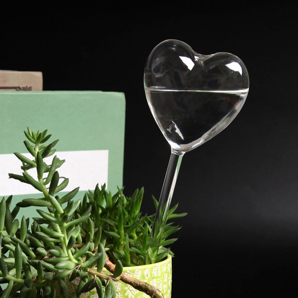 3 adet kalp şeklinde cam kendi - Bonsai Garden Plants incelemesi ve fiyatı