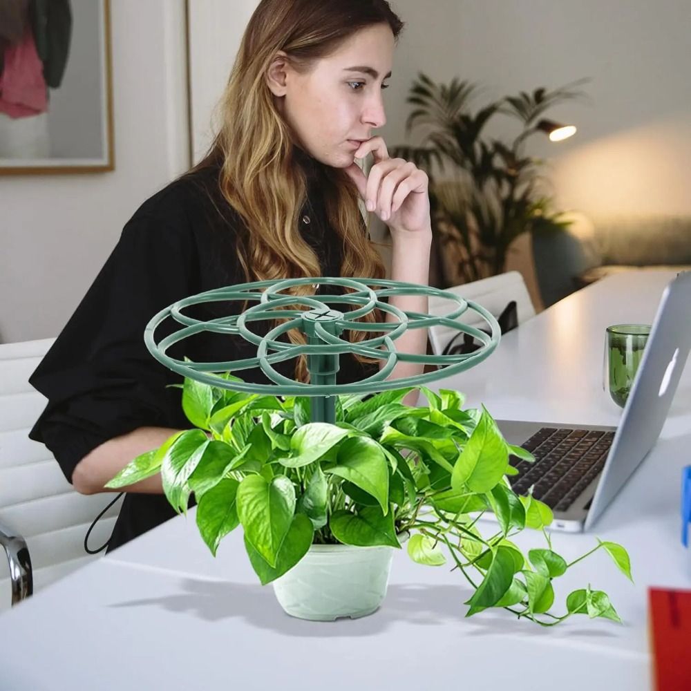 Dayanıklı S/M/L Bonsai Tırmanm - Bonsai Garden Stand incelemesi ve fiyatı