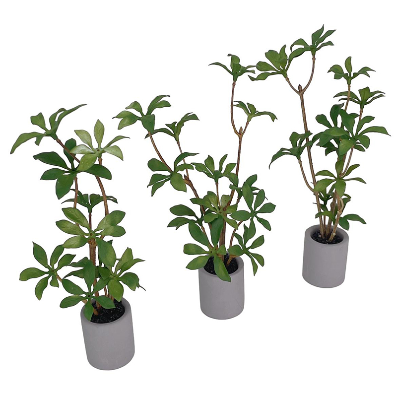 1:6 Evcilik Minyatür Saksı Bit - Bonsai Garden Plants incelemesi ve fiyatı