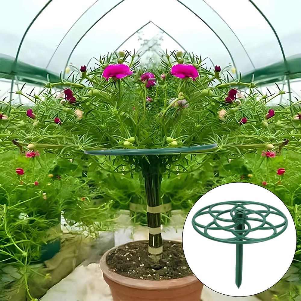 S/M/L Bonsai Tırmanma Çerçeves - Bonsai Garden Stand incelemesi ve fiyatı