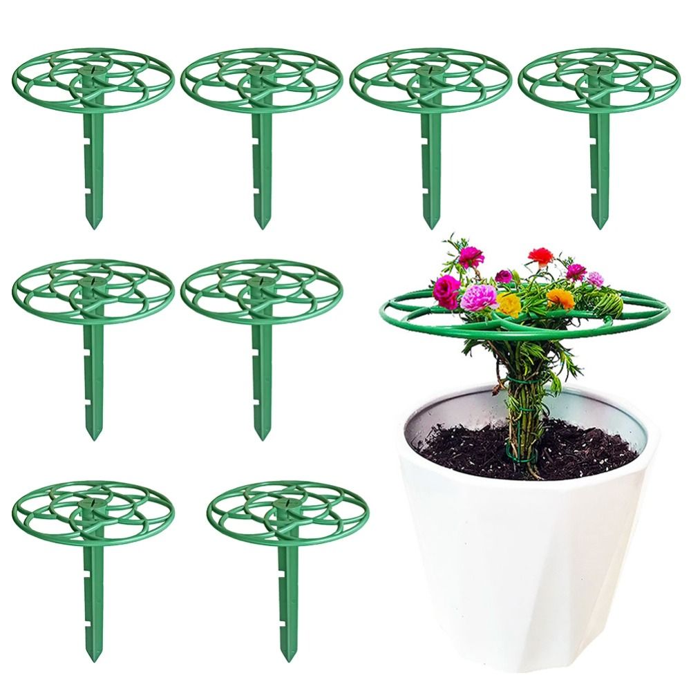 S/M/L Bonsai Tırmanma Çerçeves - Bonsai Garden Stand incelemesi ve fiyatı