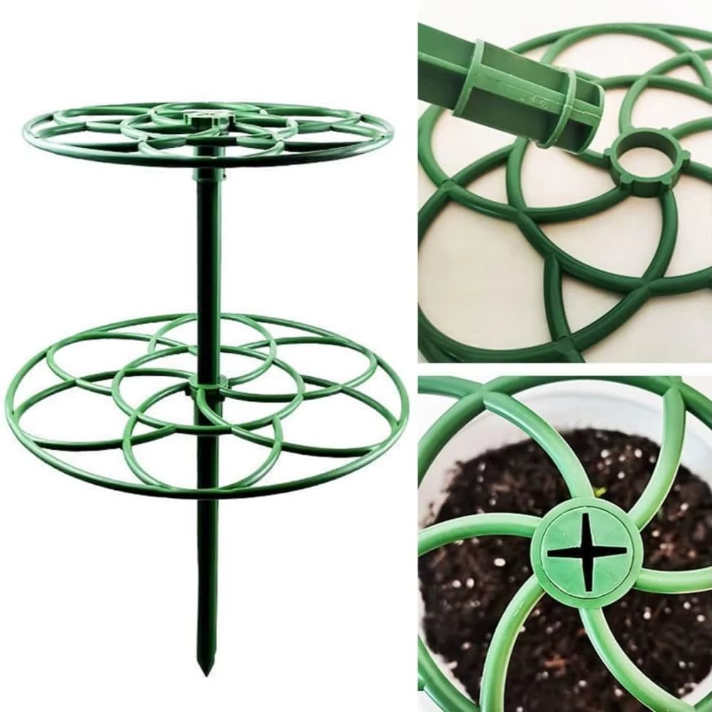 S/M/L Bonsai Tırmanma Çerçeves - Bonsai Garden Stand incelemesi ve fiyatı