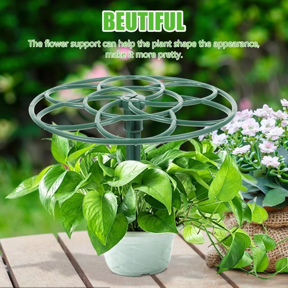 Yeni S/M/L Bonsai Tırmanma Çer - Bonsai Garden Stand incelemesi ve fiyatı