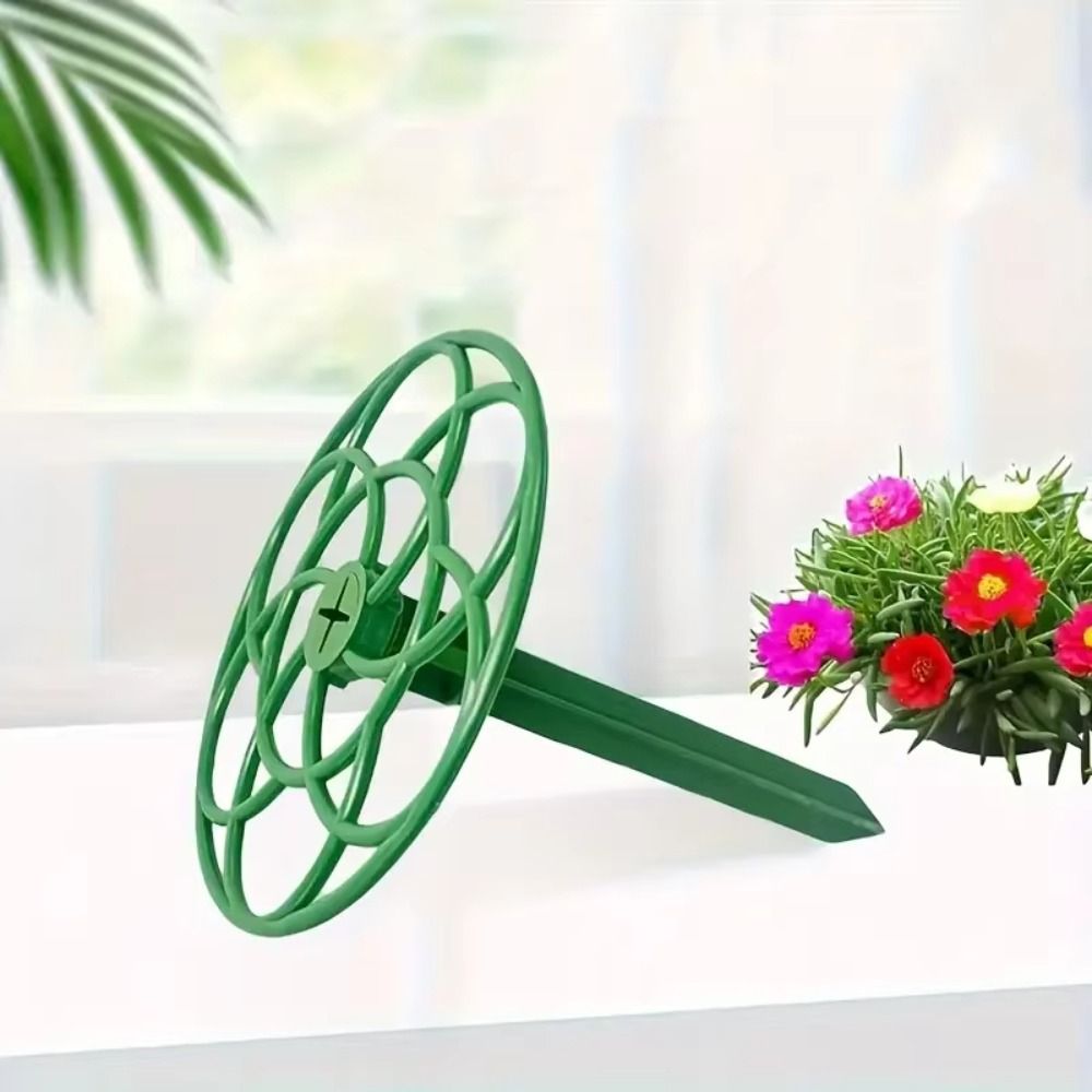 Yeni S/M/L Bonsai Tırmanma Çer - Bonsai Garden Stand incelemesi ve fiyatı