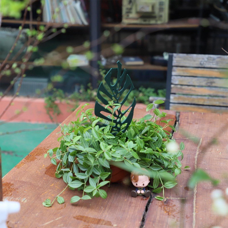 Bitki Tırmanma Destek Standı Ç - Bonsai Garden Stand incelemesi ve fiyatı